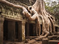 Ta Phrom