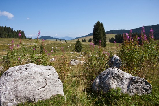piana_marcesine