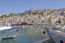 sciacca sciacca