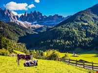 dolomiti selva di val gardena