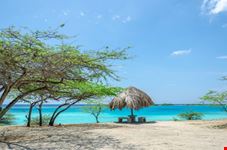 Aruba