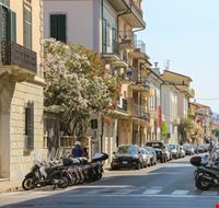 viareggio viareggio viareggio viareggio