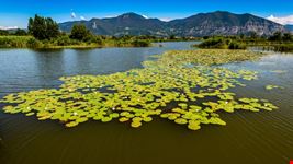 Riserva Naturale Torbiere del Sebino