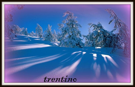 trentino