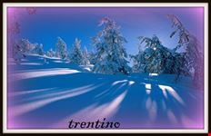trentino madonna di campiglio
