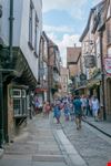 york york