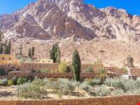 alessandria d  egitto monastero di santa caterina egitto