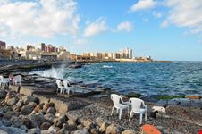 alessandria d  egitto alessandria d  egitto