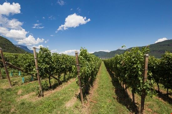  Termeno sulla strada del vino Macthia - Shutterstock Macthia