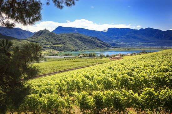  Termeno sulla strada del vino Andreas Prott - Shutterstock Andreas Prott