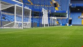 Dentro il campo