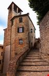 Montone