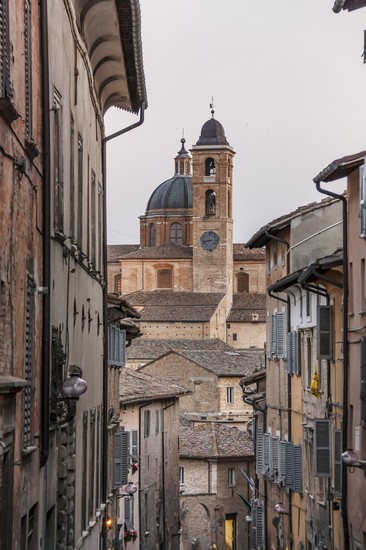 Urbino