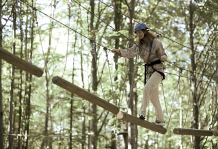 Parco Avventura Cerwood