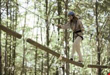 Parco Avventura Cerwood