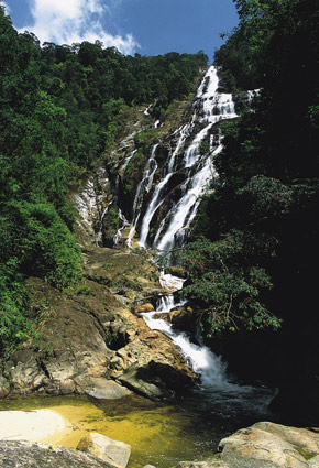 stupenda cascata nel cuore del bosco