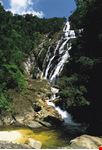 stupenda cascata nel cuore del bosco