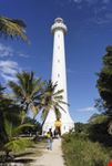 Faro