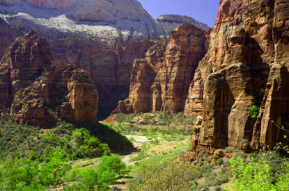Canyon principale del parco nazionale  Zion