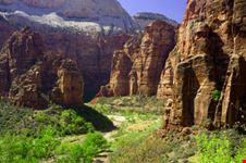 Canyon principale del parco nazionale  Zion