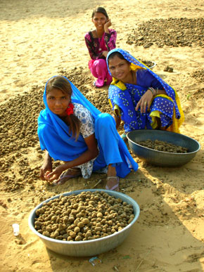 Bambine al Lavoro