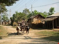 Vita contadina