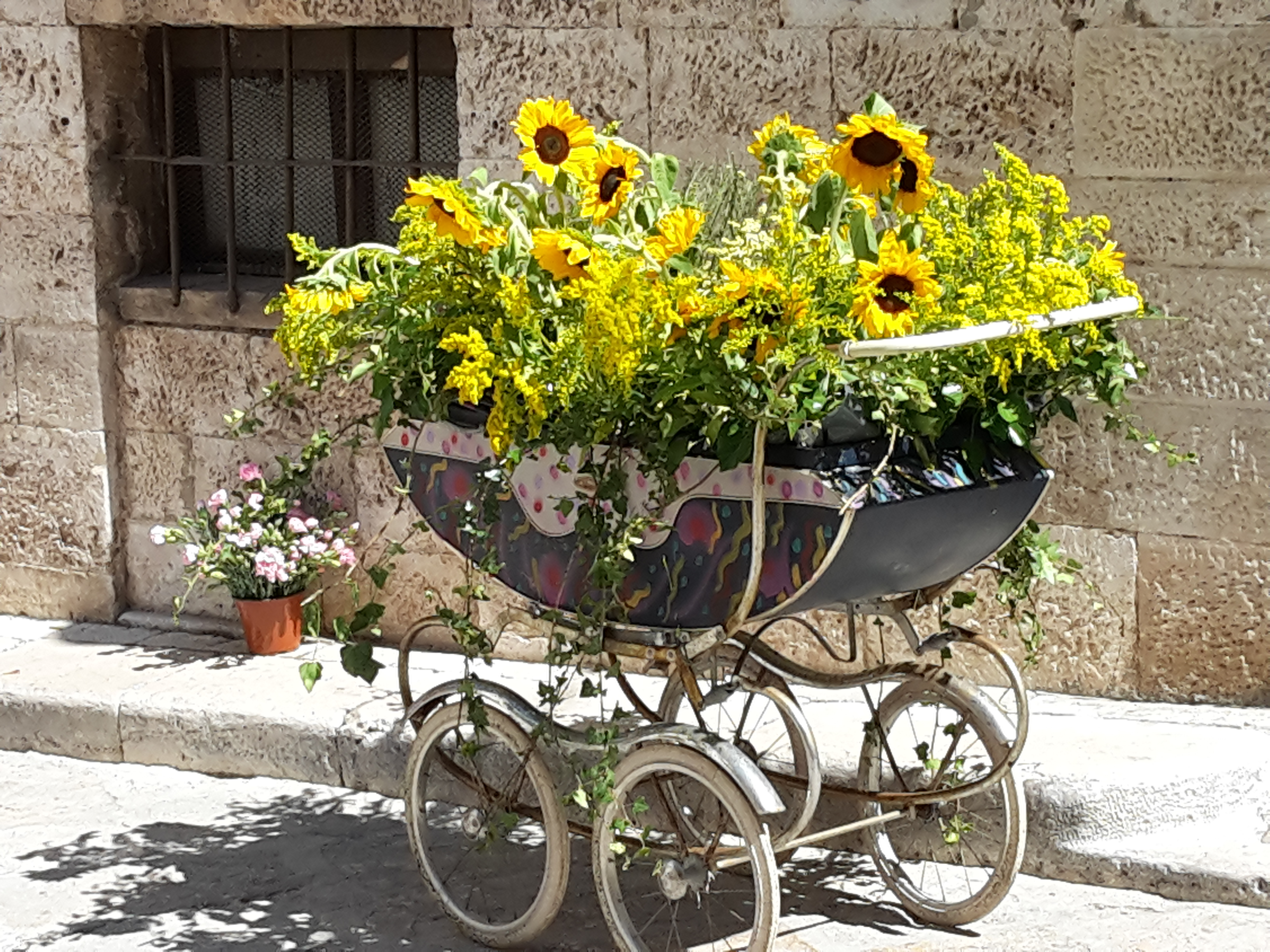 Borgo in fiore