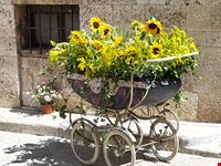 Borgo in fiore