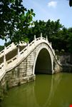 Ponte