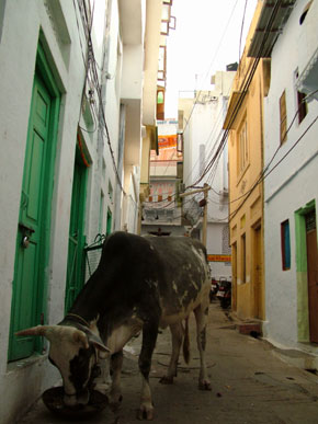 Vicolo
