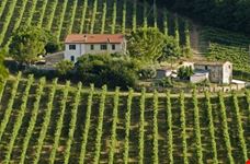 ancona farm