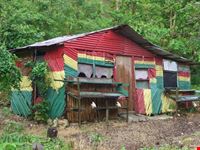 port antonio rasta house