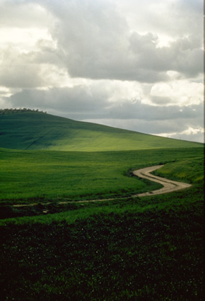 Colline Valdorcia