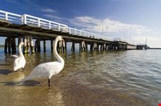 sopot the pier in city sopot