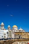 cadiz cathedral nueva