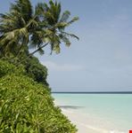male tropical beach