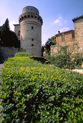 TrequandaTorre Castello Cac