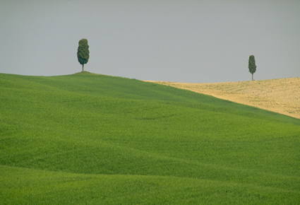Valdorcia