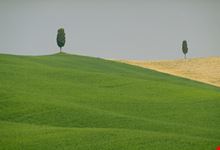 Valdorcia