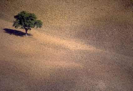 Valdorcia