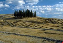 Valdorcia