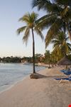 kingston caribbean sandy beach