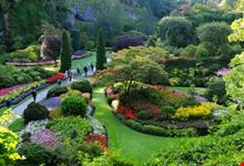 The Butchart Gardens