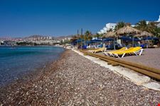 eilat tropical beach on the red sea
