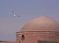 tabriz persian mosque