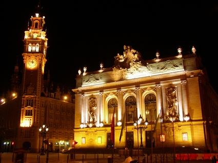  Lille S.Palazov - ©Shutterstock S.Palazov
