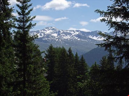  Davos koi88  - ©Shutterstock  koi88 