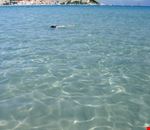 Snorkeling in Calvi Bay Snorkeling in Calvi Bay