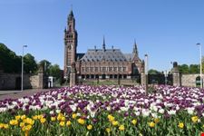 the hague peace palace