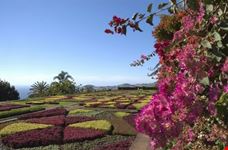 Botanical garden